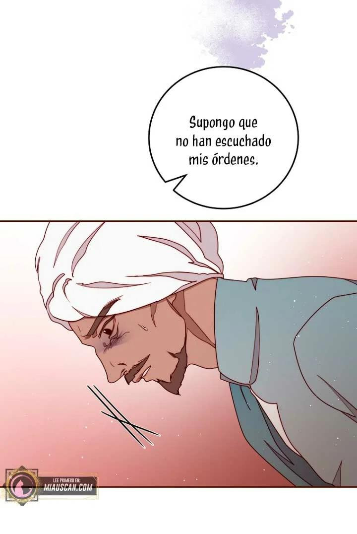 Página 42