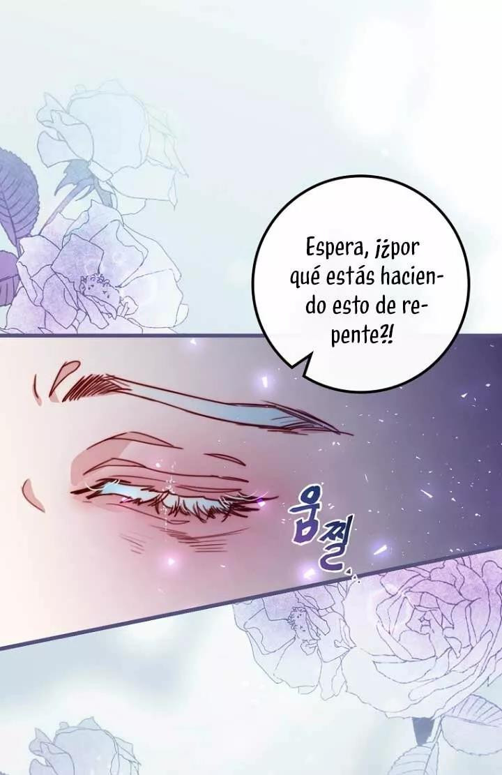 Página 66