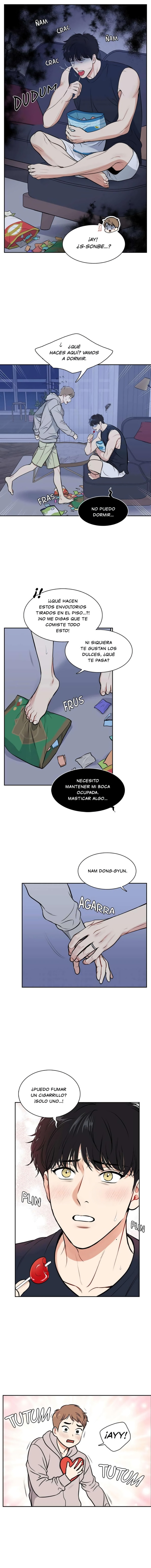 Página 8