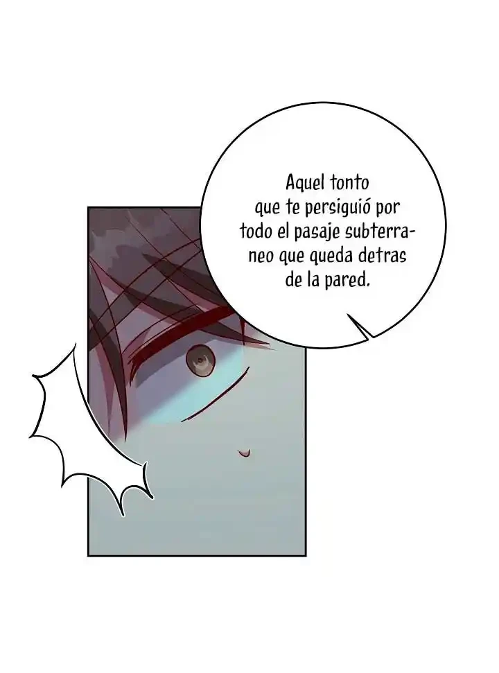 Página 41