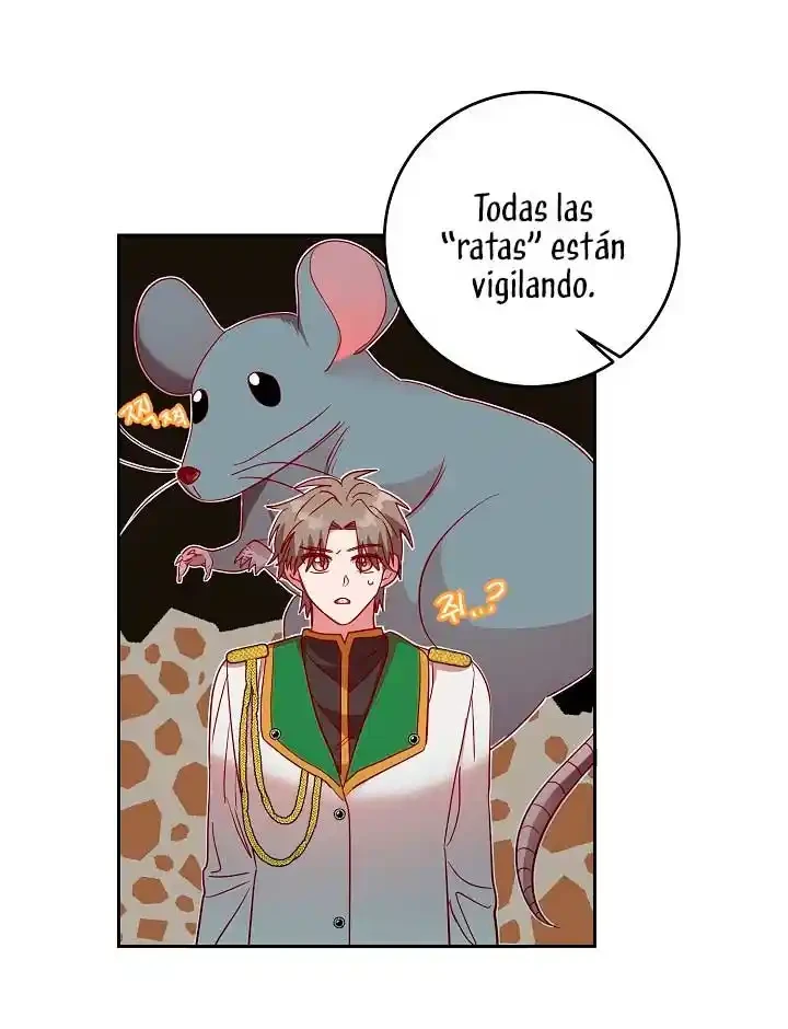 Página 44