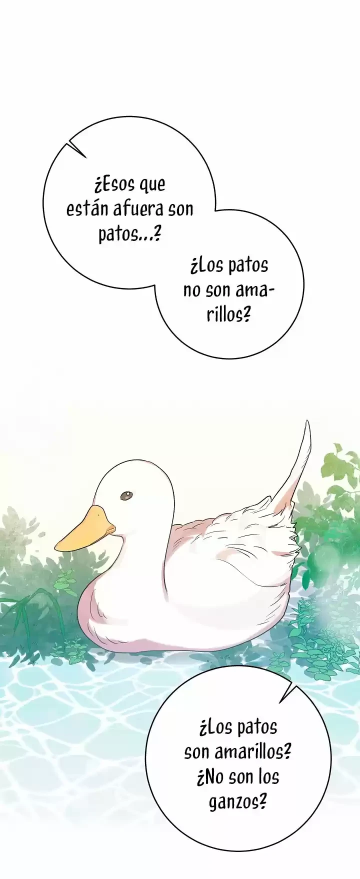 Página 46