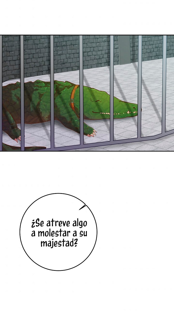 Página 52