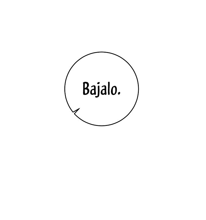 Página 46