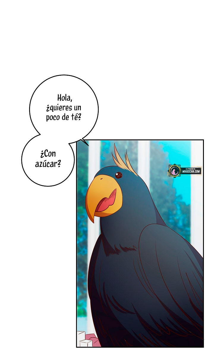 Página 47