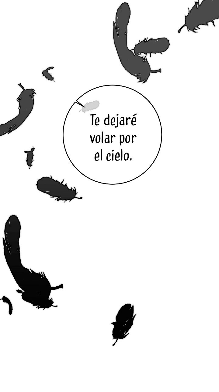 Página 46