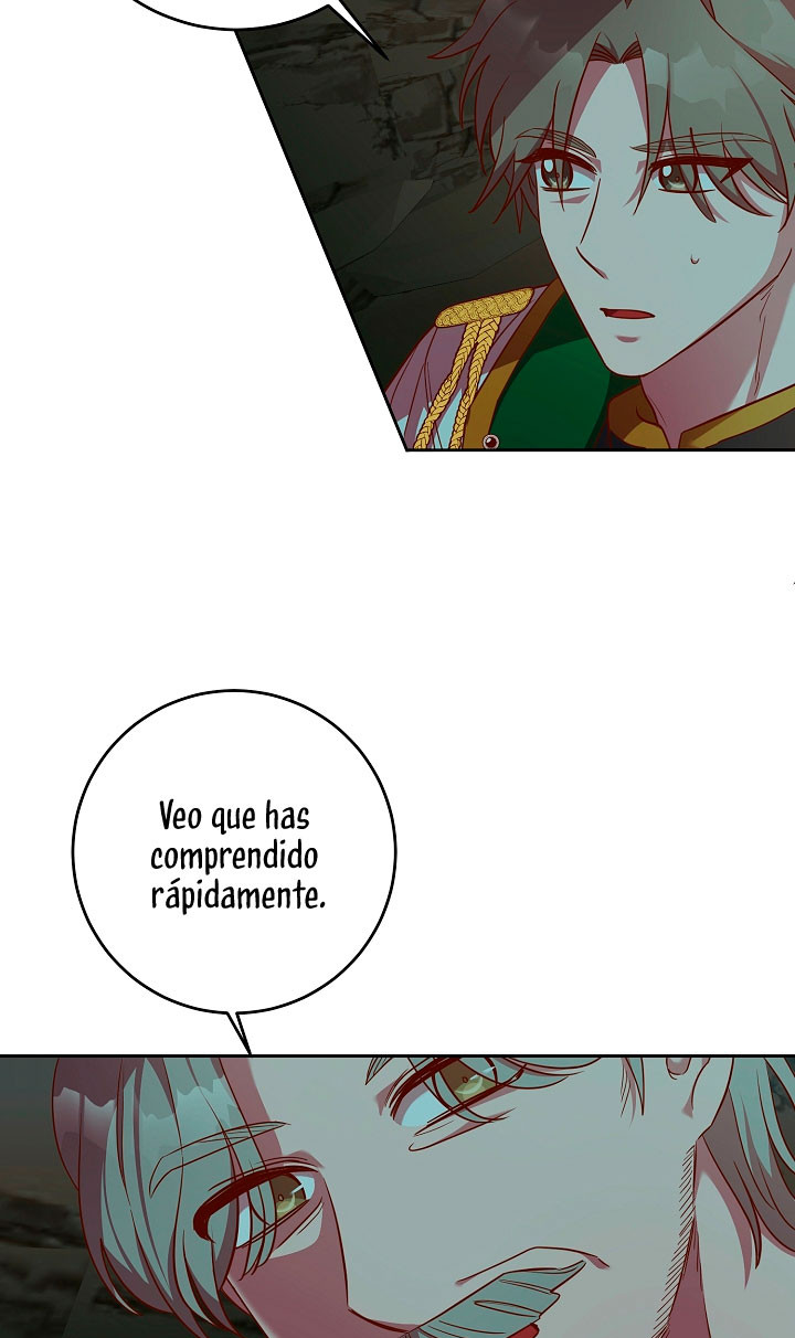 Página 43