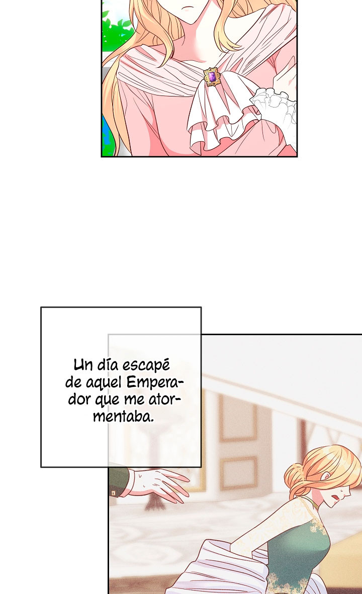 Página 46
