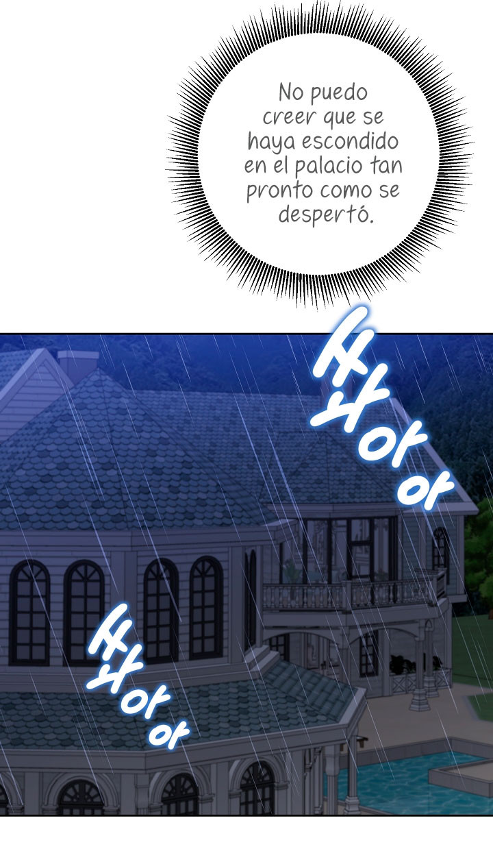 Página 42