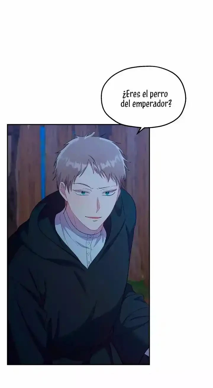 Página 42
