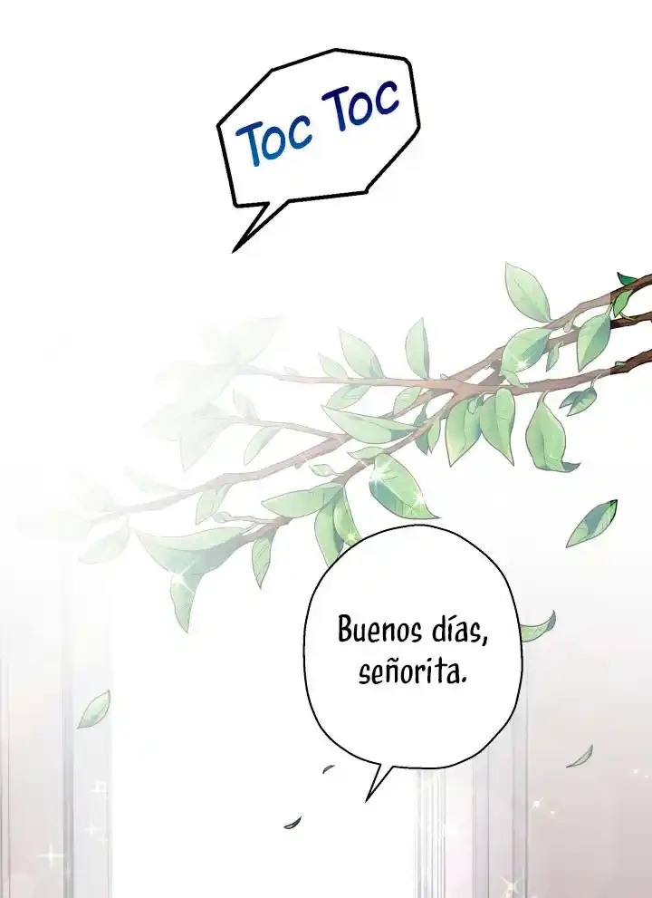 Página 52