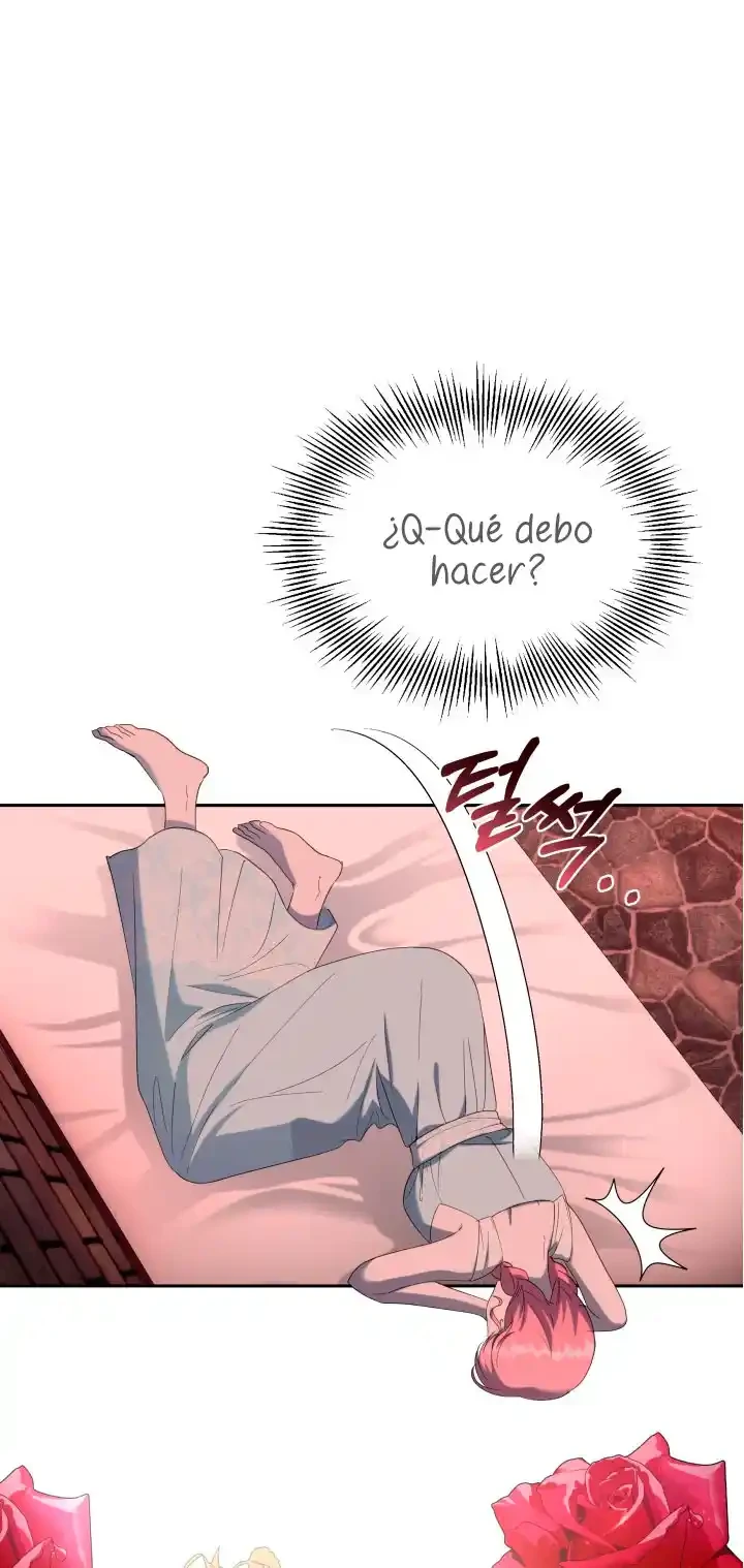 Página 51
