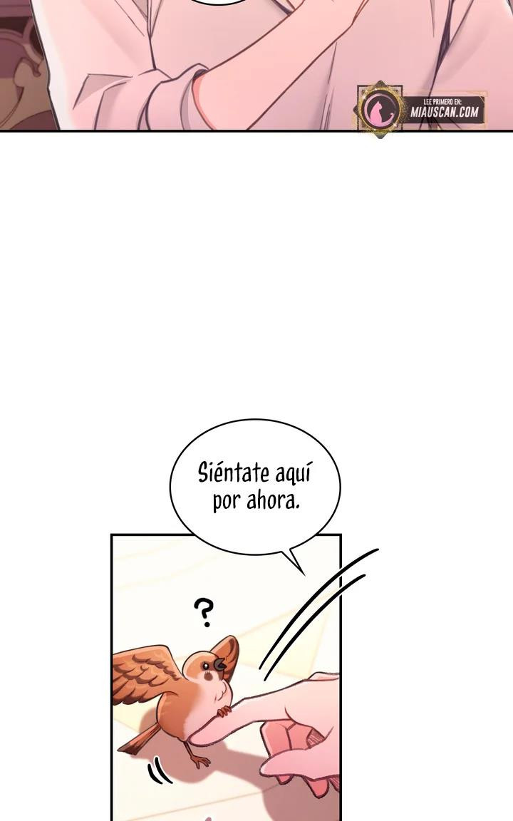 Página 62
