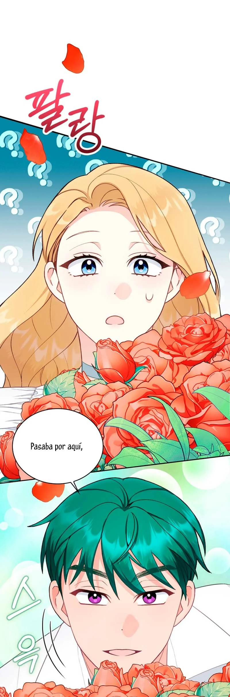 Página 51