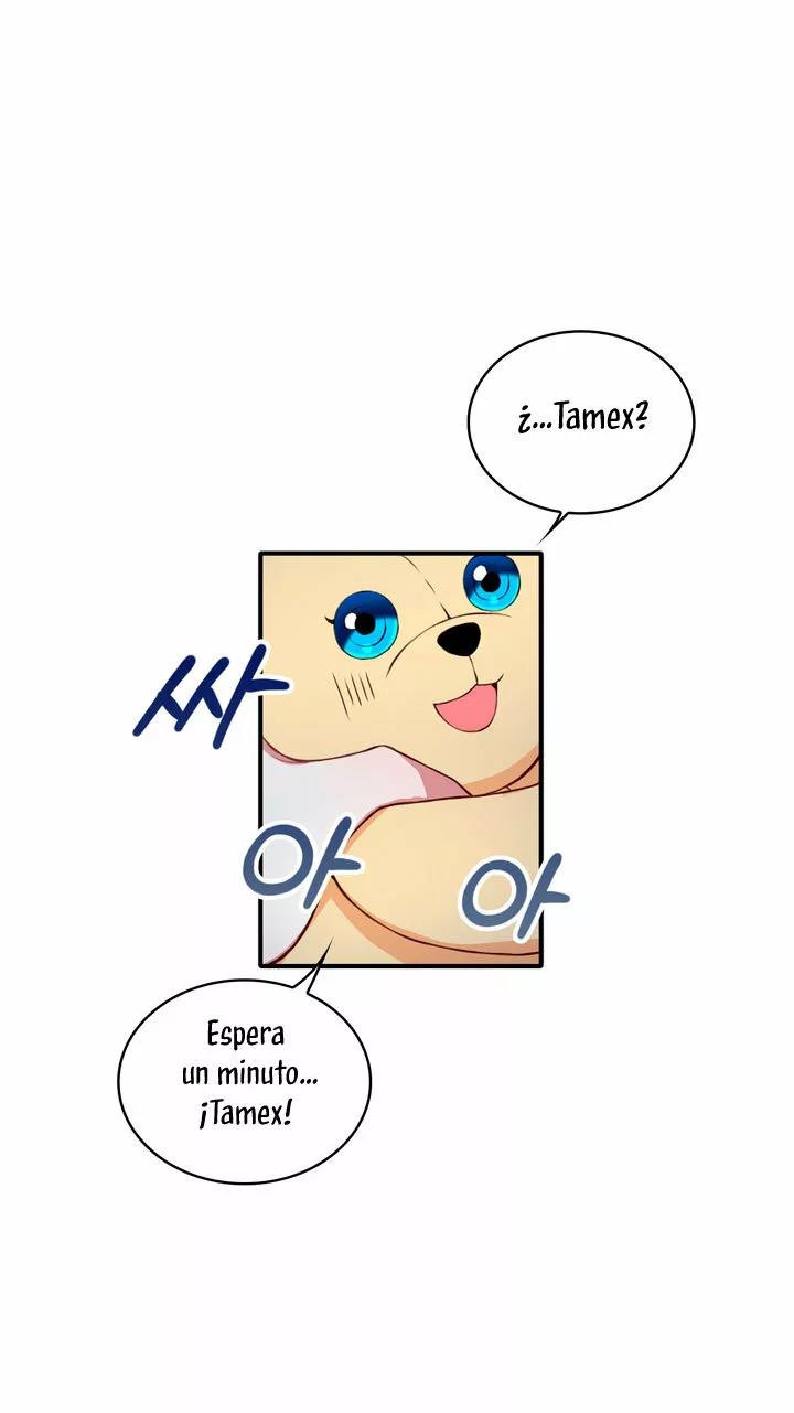 Página 41