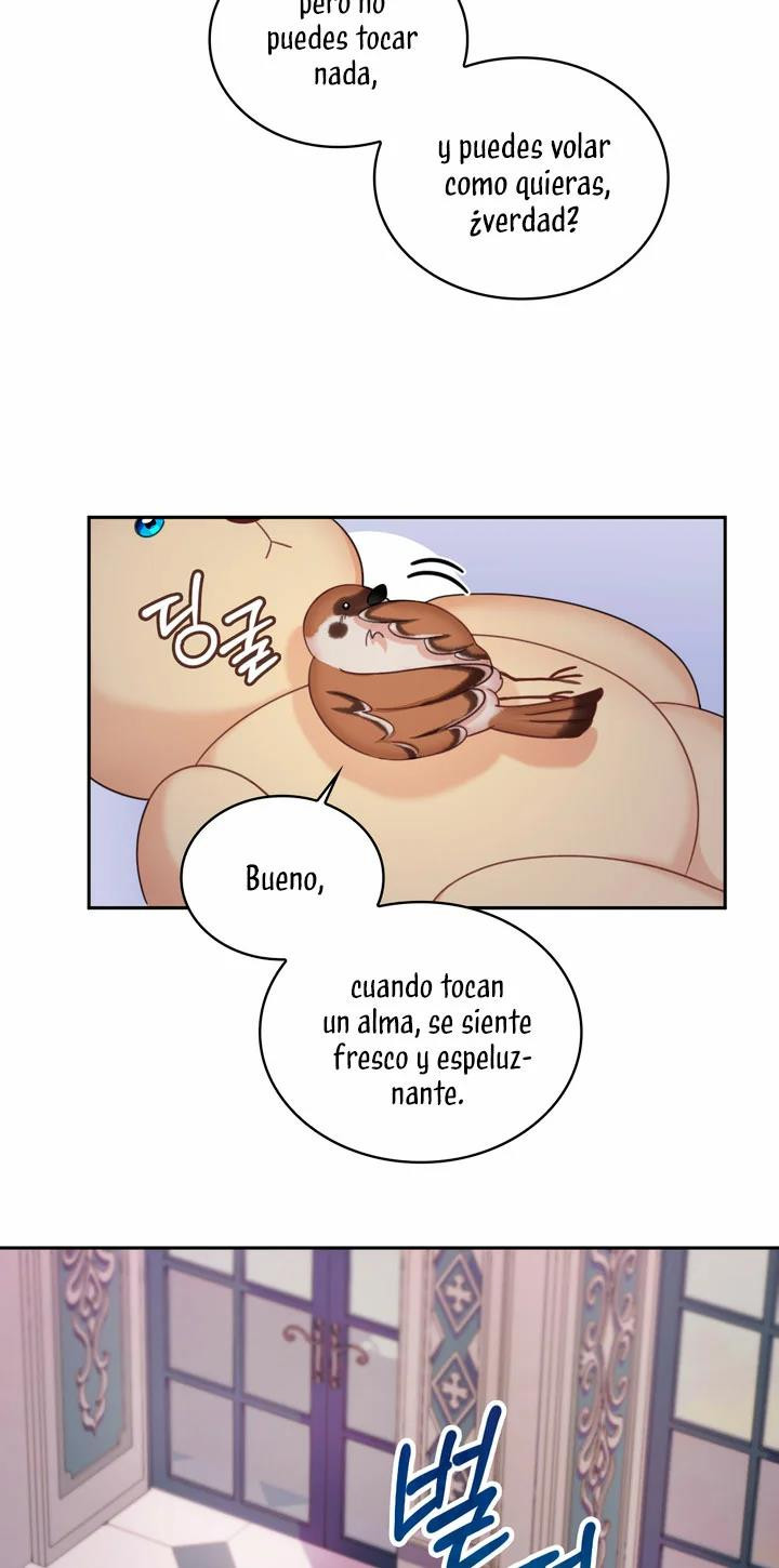 Página 41