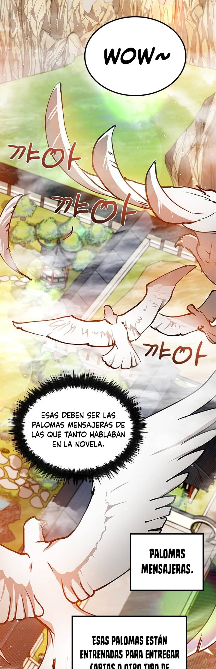 Página 52