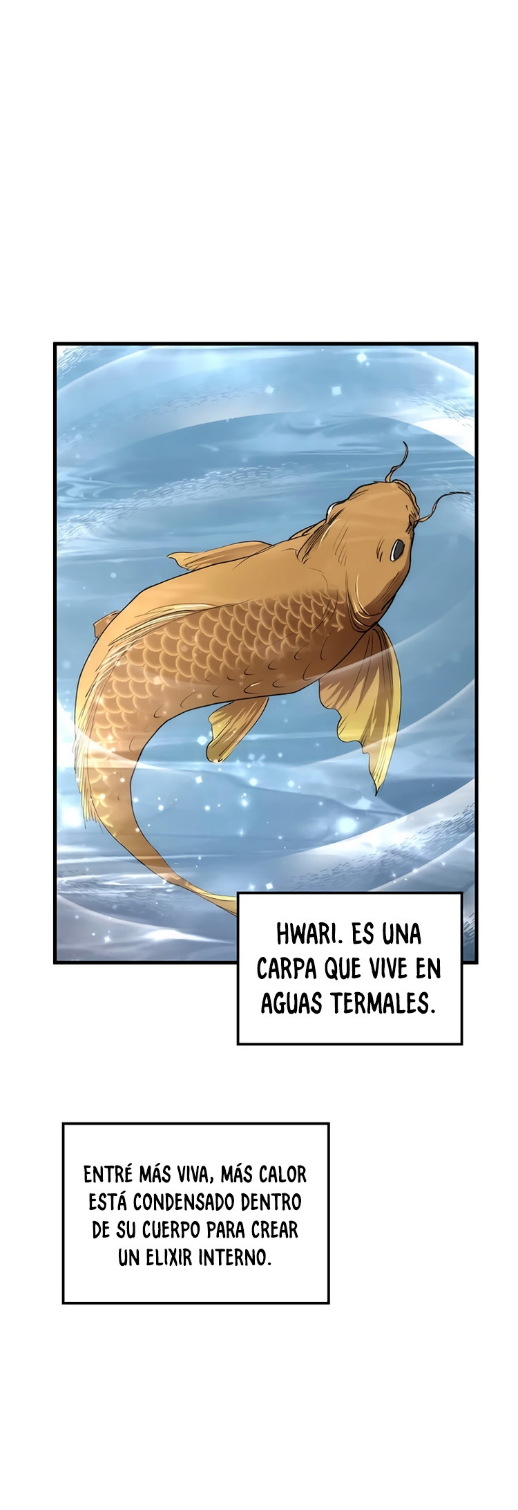 Página 63