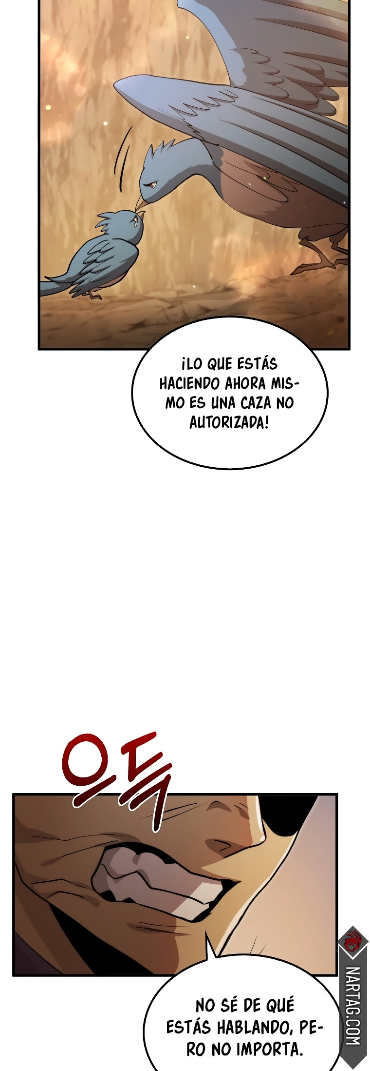 Página 19