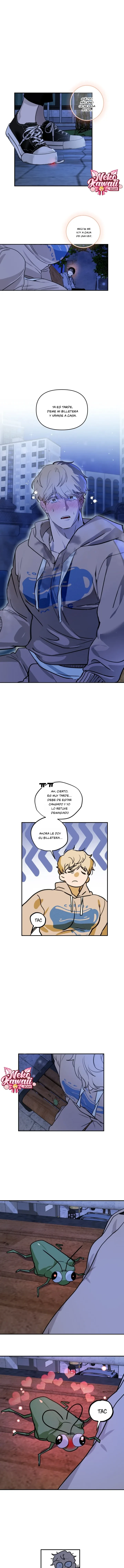 Página 7