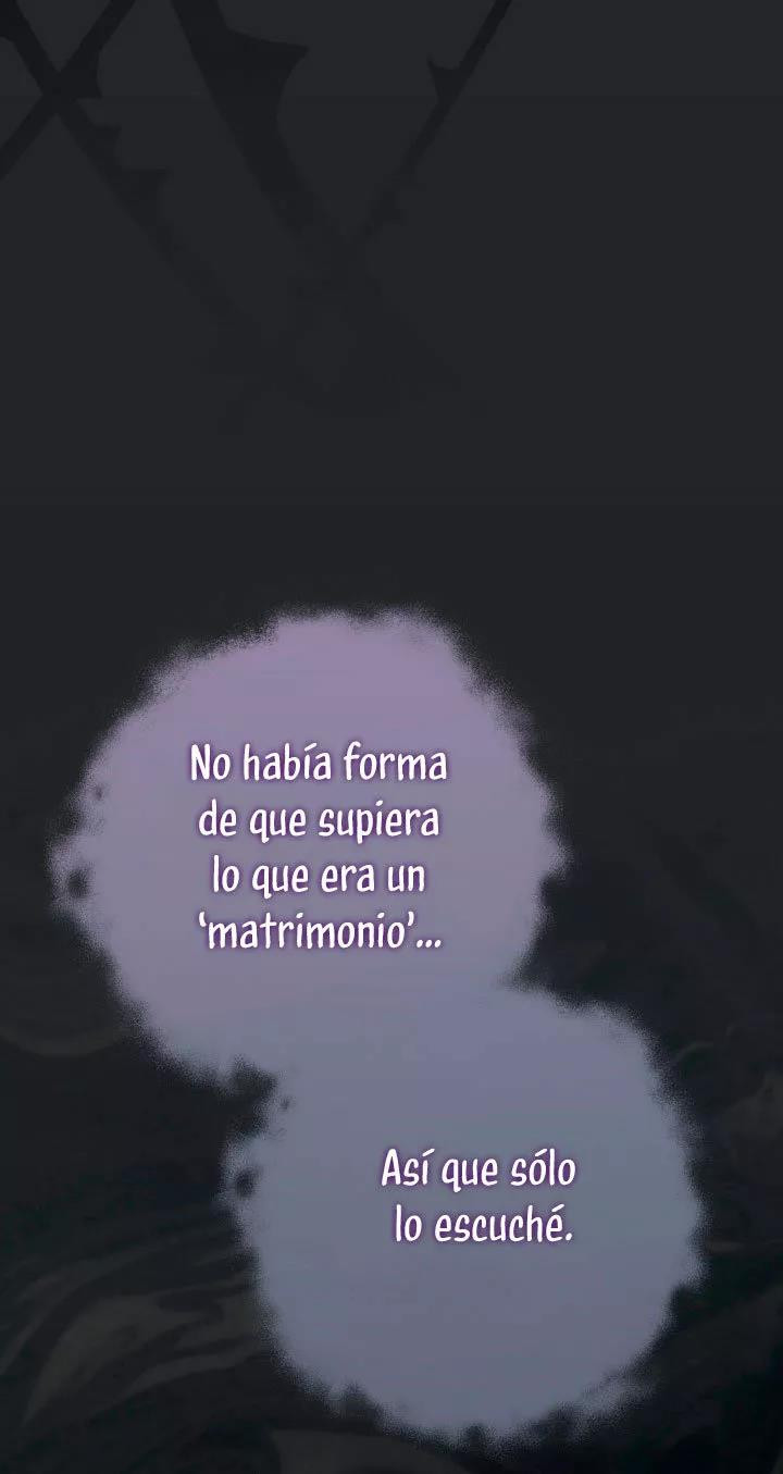 Página 52