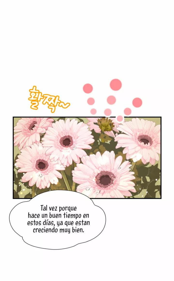 Página 81