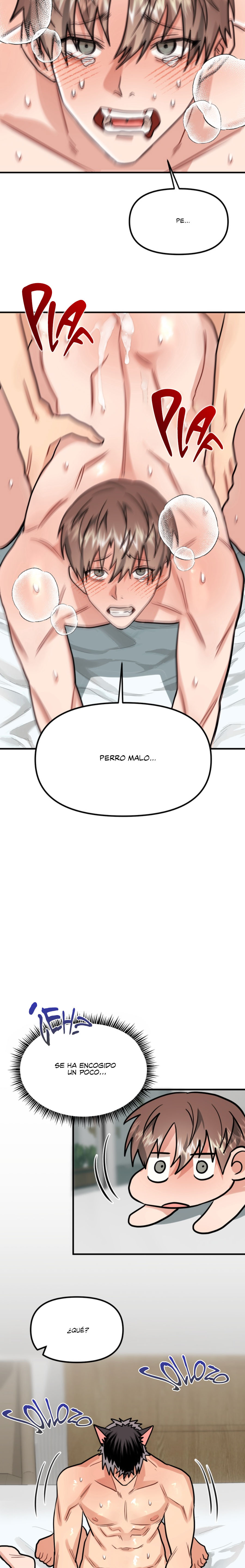 Página 11