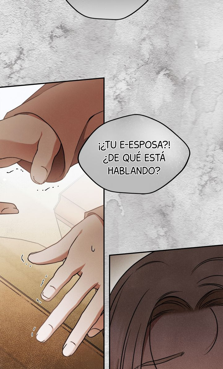 Página 54