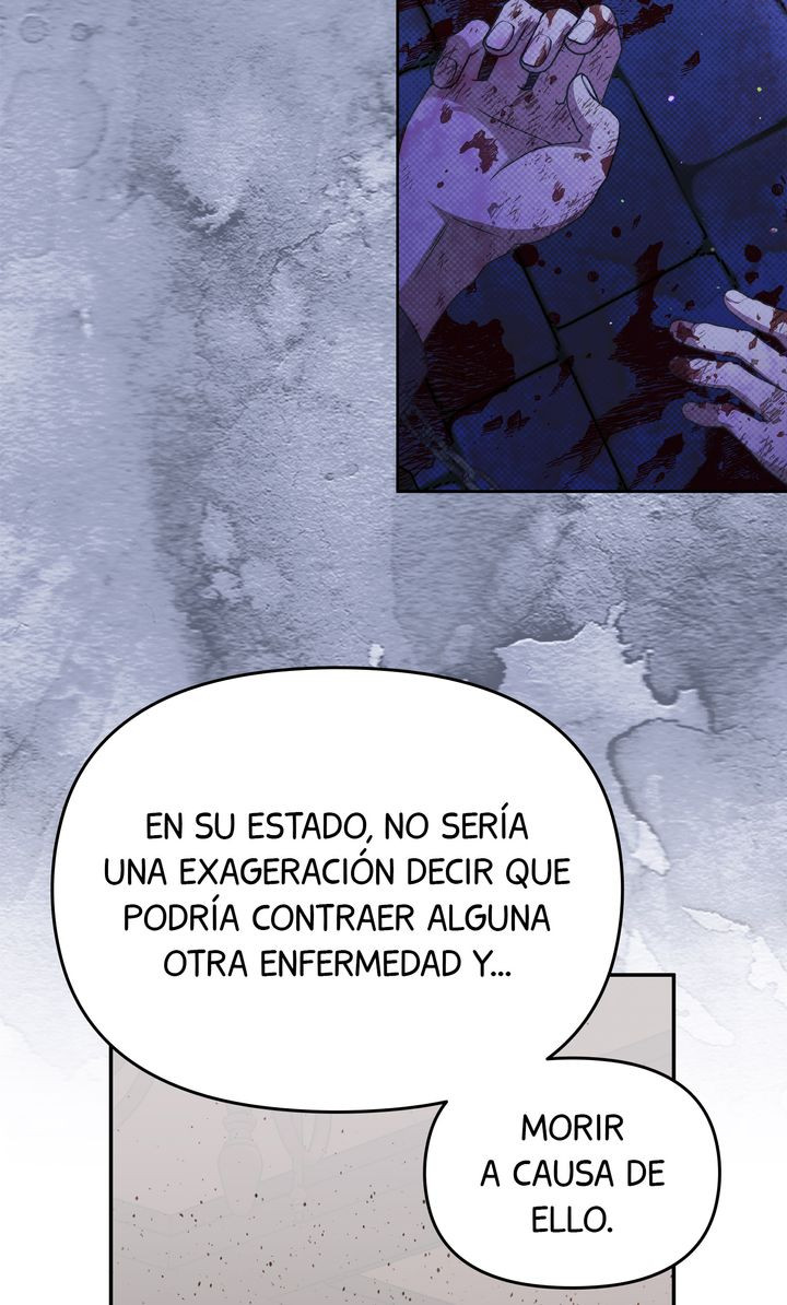 Página 41