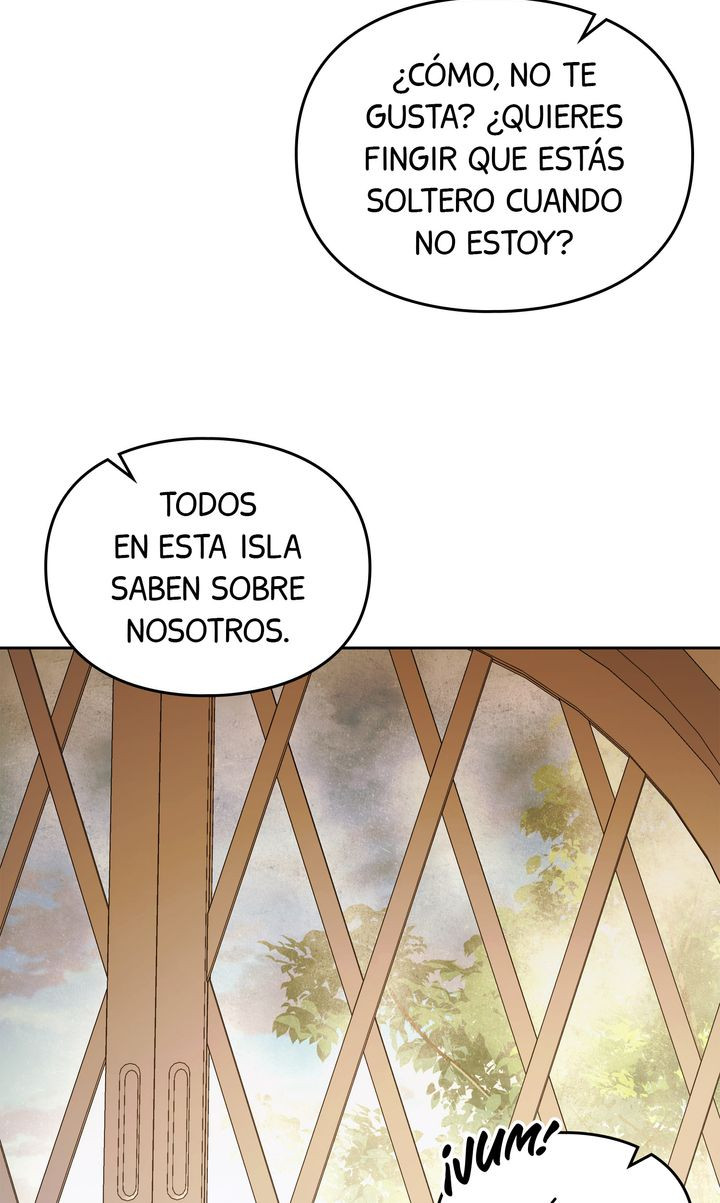 Página 51