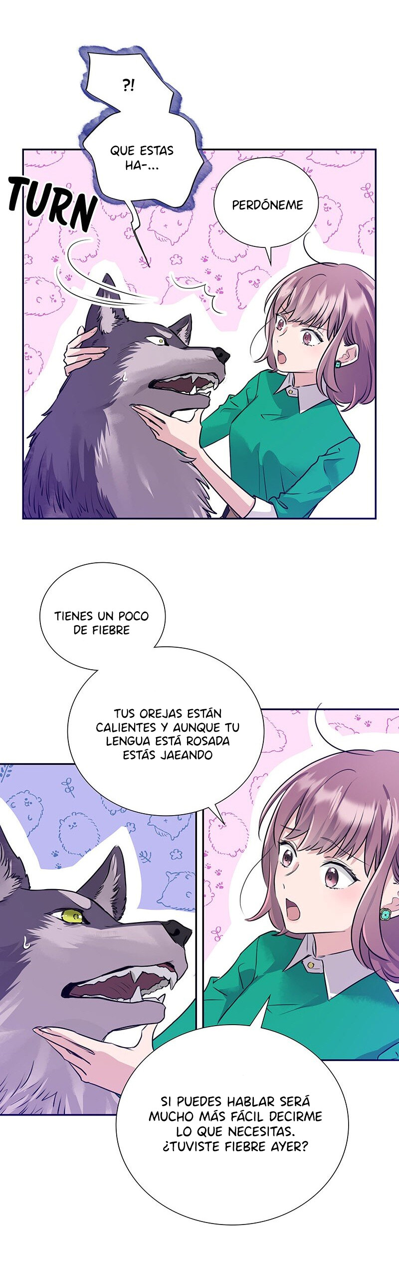 Página 28