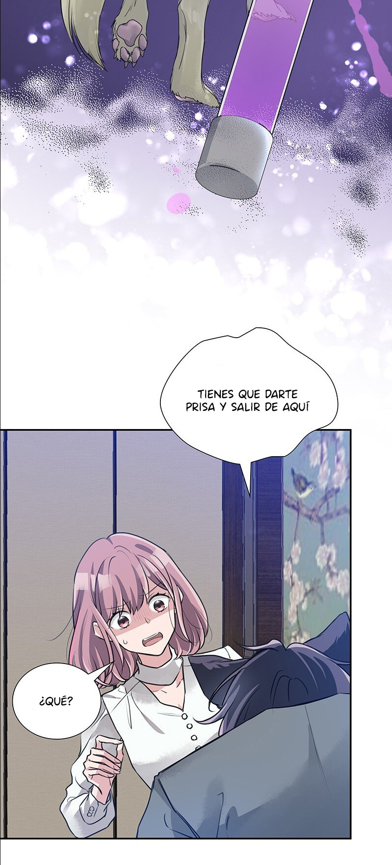 Página 19