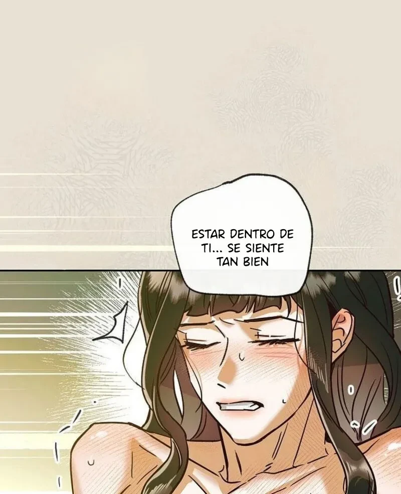 Página 42