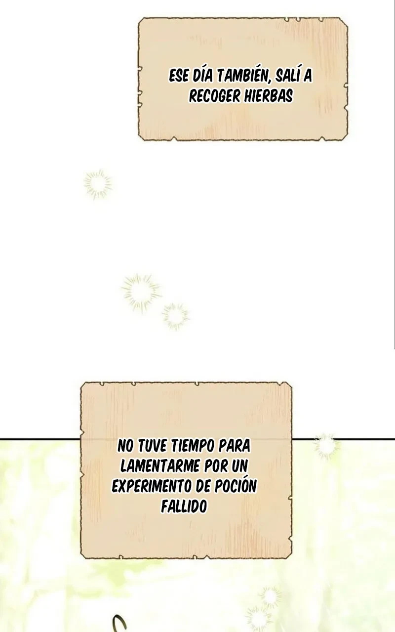 Página 51
