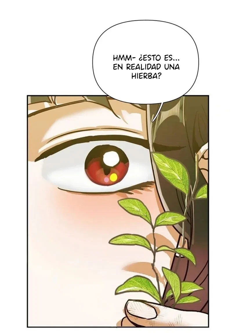 Página 53