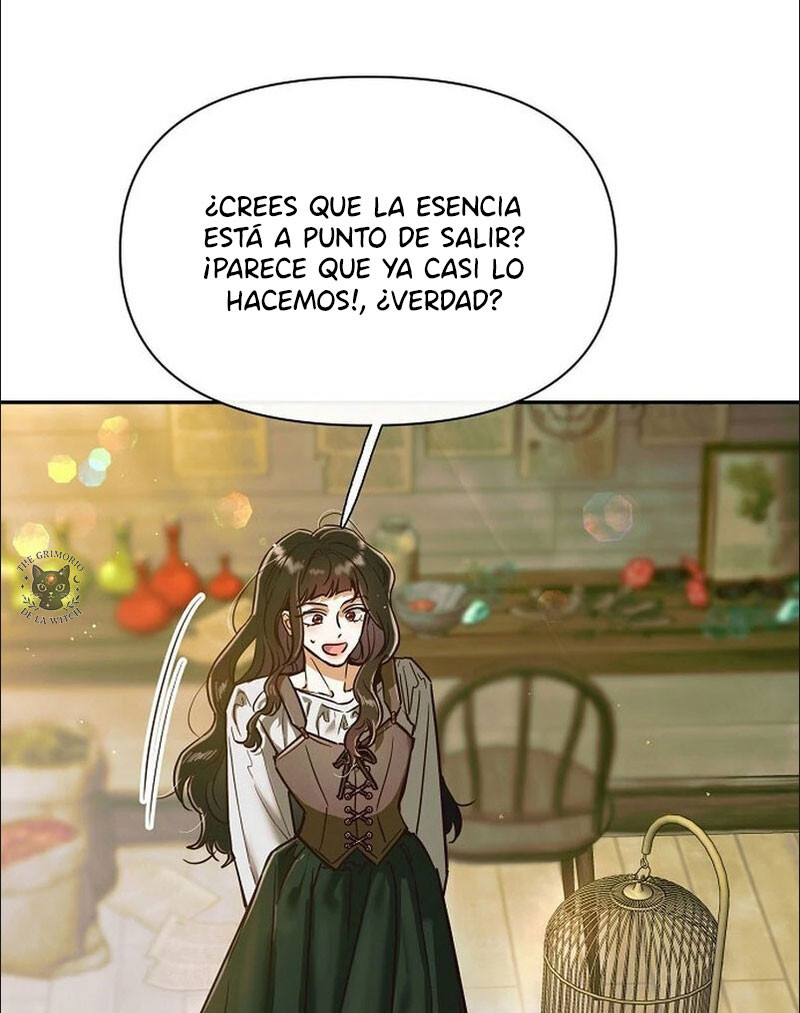 Página 42