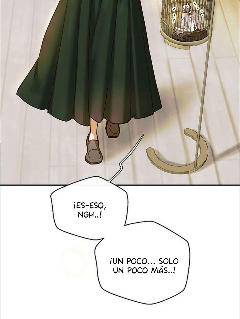 Página 43