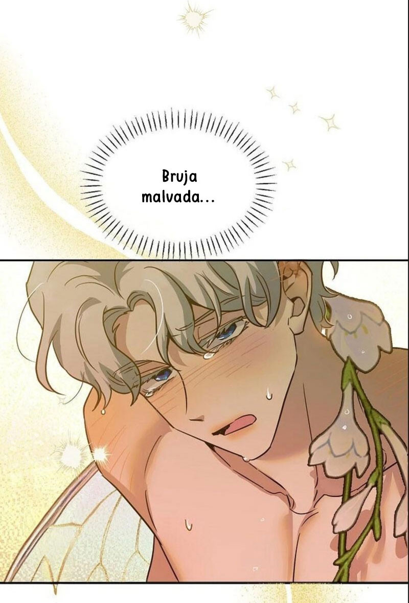 Página 54