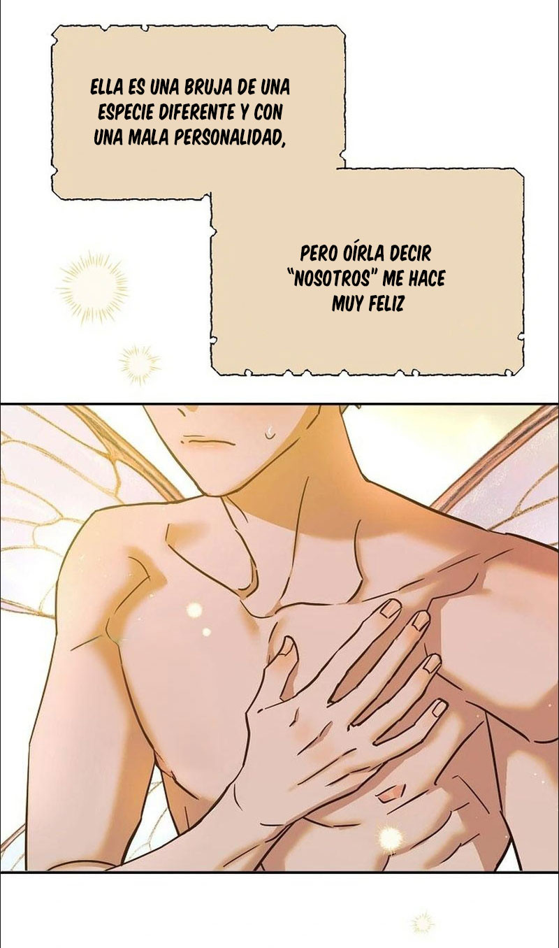Página 40