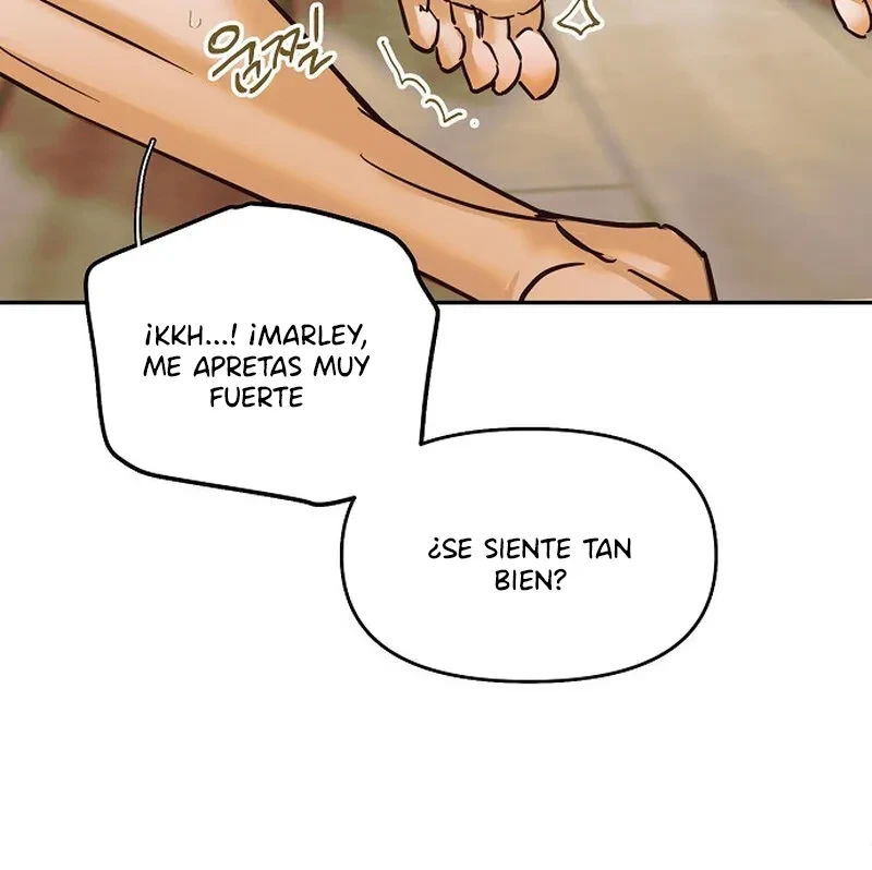 Página 81