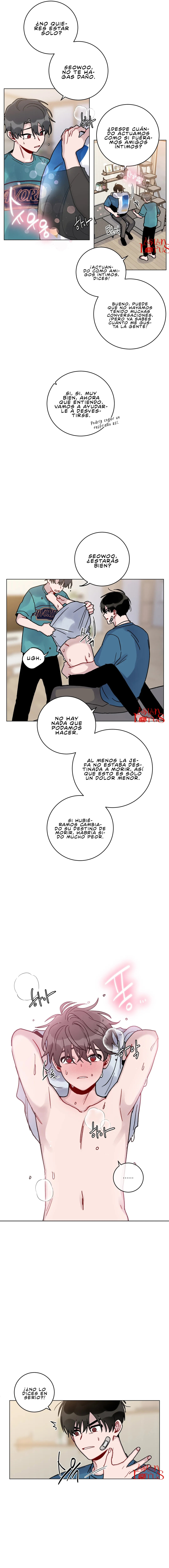 Página 5