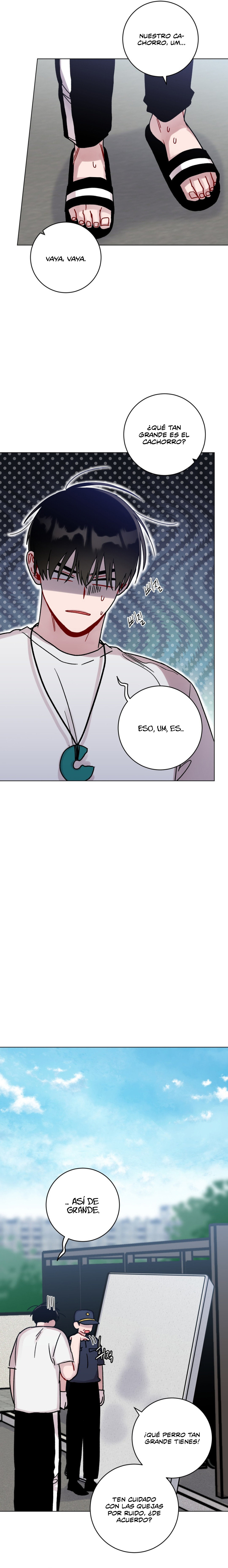 Página 6