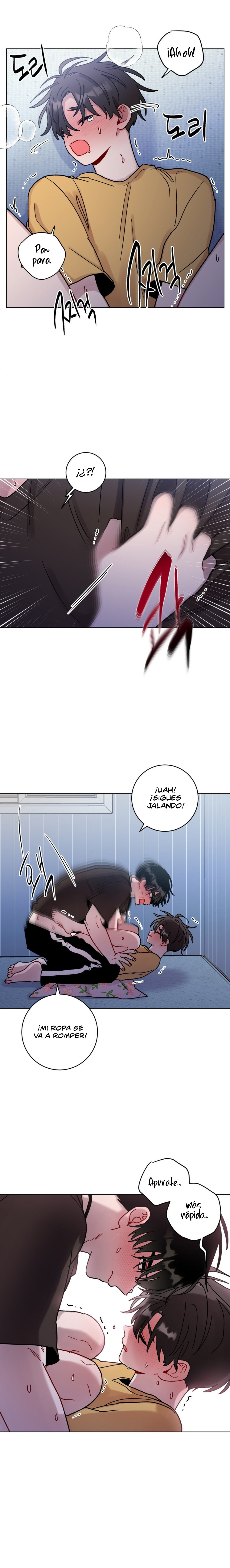 Página 12