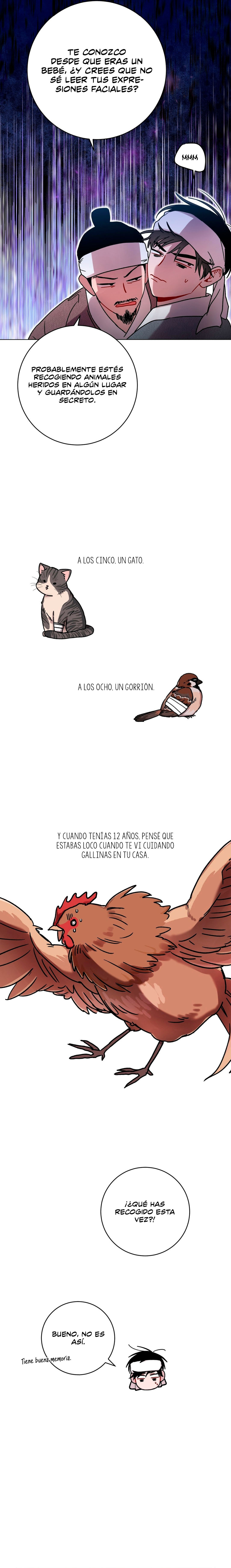 Página 13