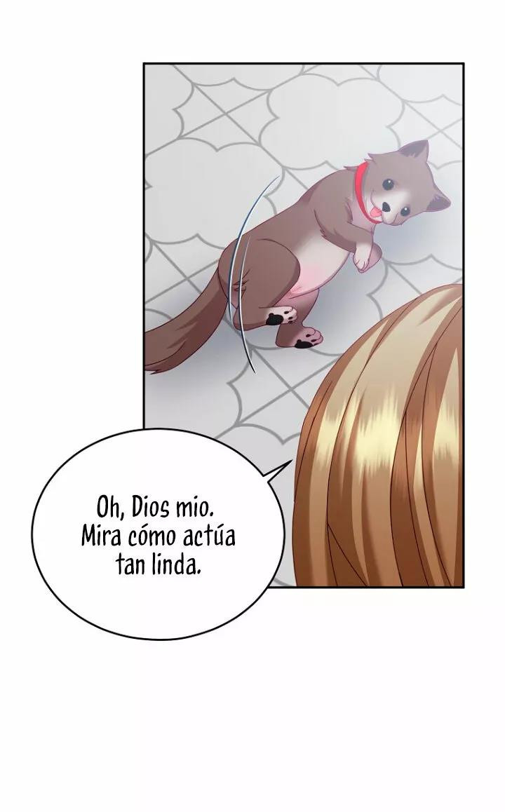 Página 53