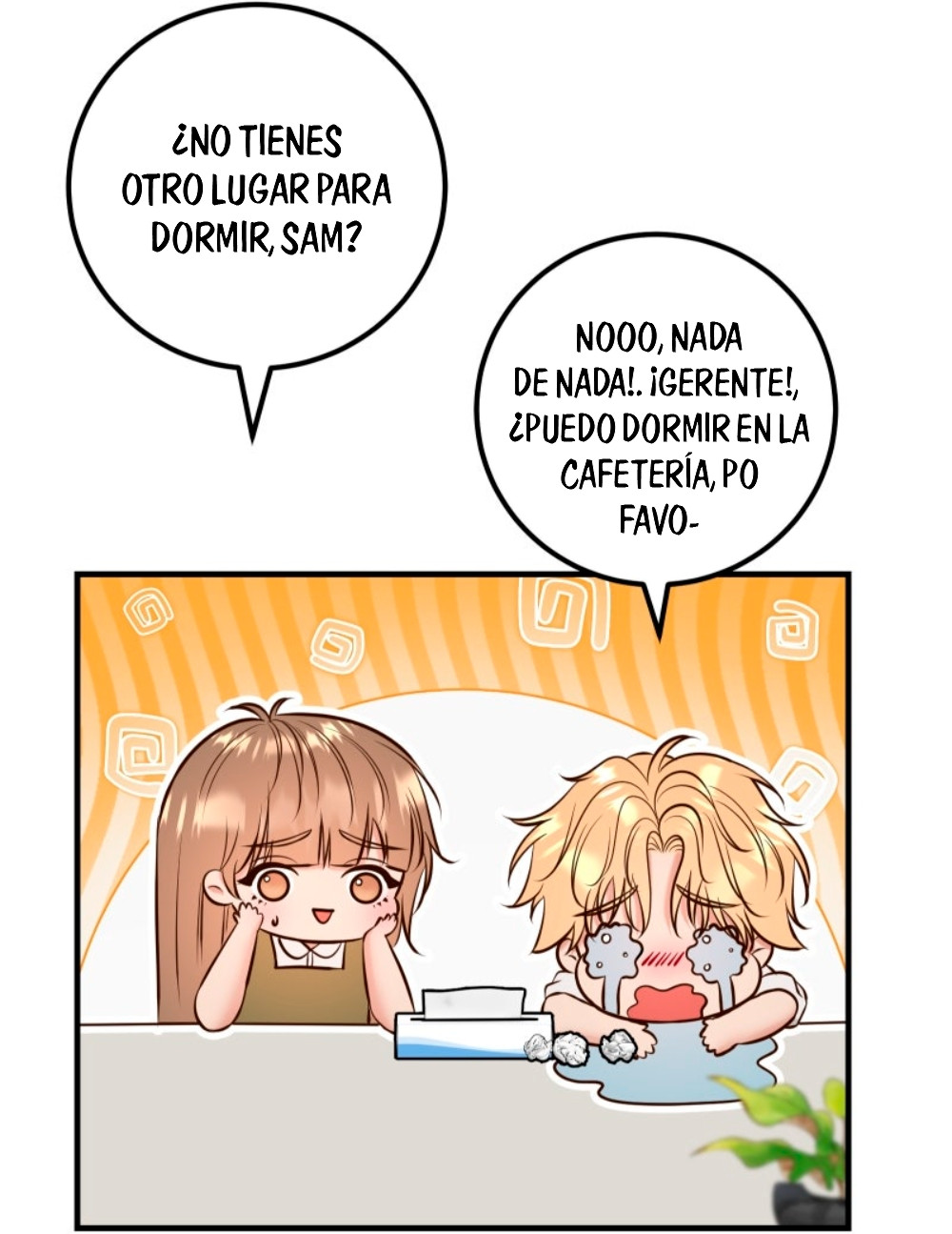 Página 19