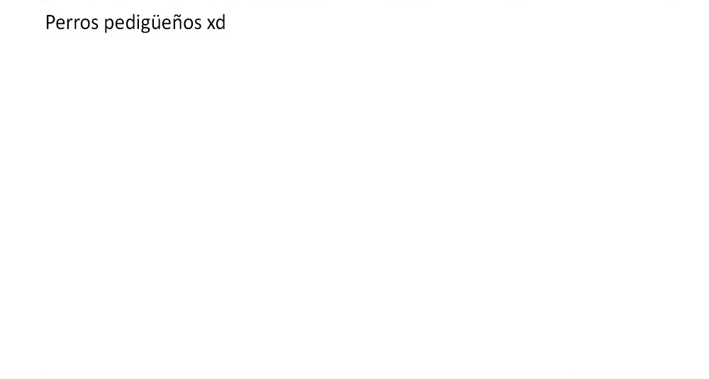Página 49