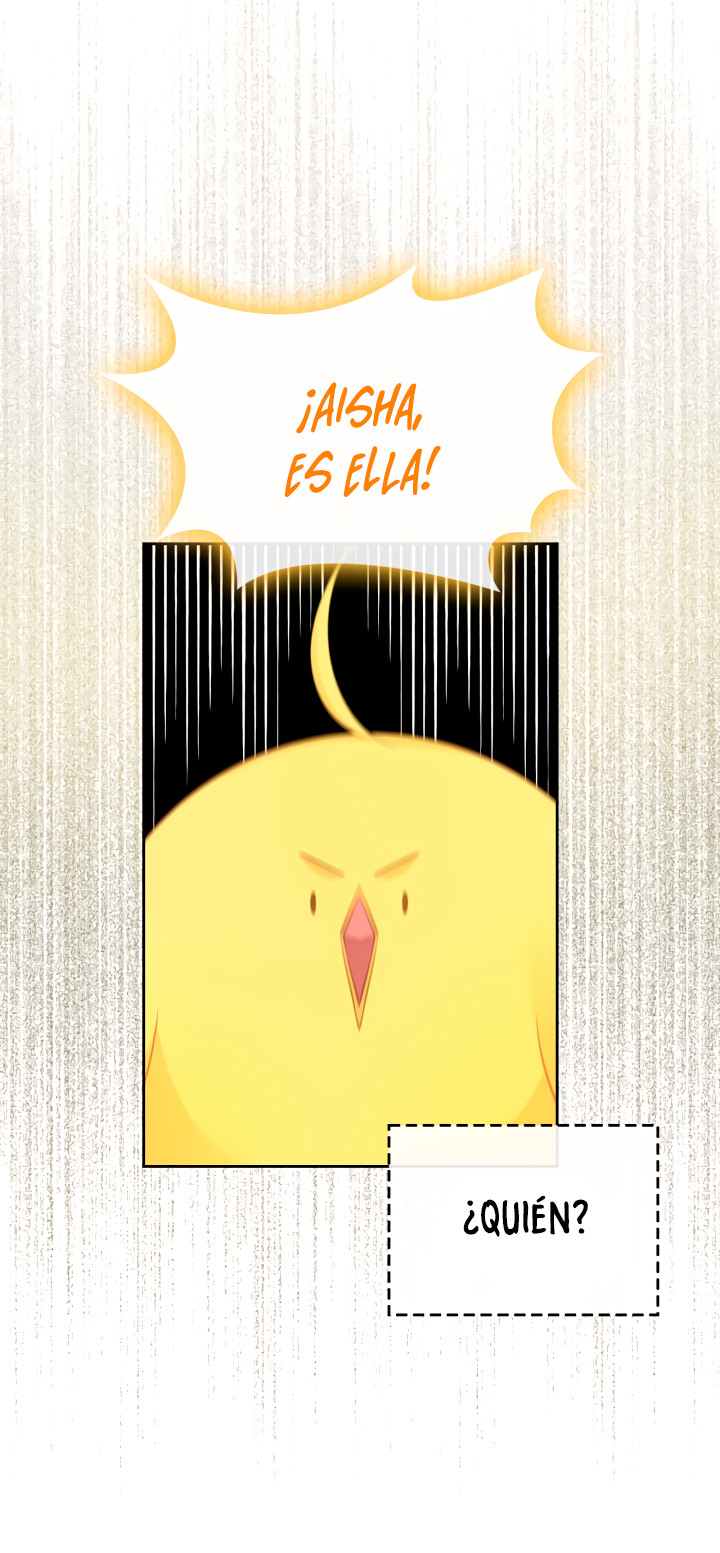 Página 49