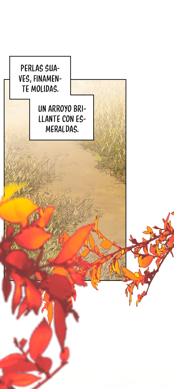 Página 37