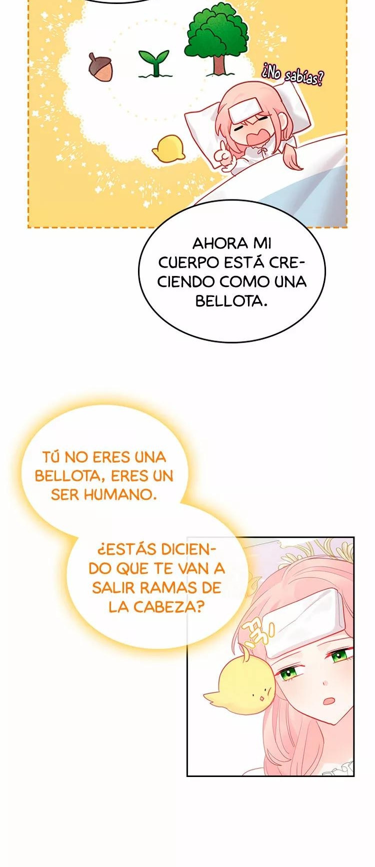 Página 15